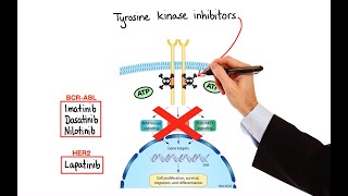 Pharmacology  CANCER DRUGS – CELL CYCLE INHIBITORS MADE EASY [upl. by Skees]