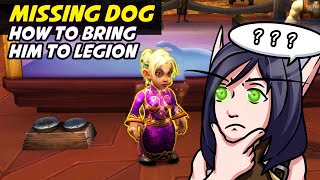 Bringing Dog to Dalaran in Legion [upl. by Ariahay]