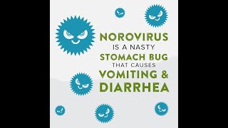 Norovirus is a nasty stomach bug [upl. by Neelcaj]