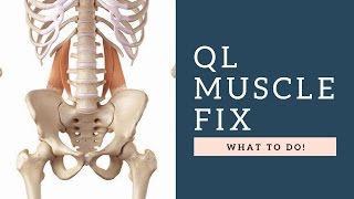 FIX Quadratus Lumborum QL Muscle Back Pain By Following These Exercises amp Tips [upl. by Gathard]