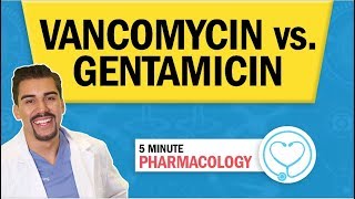 Pharmacology  Vancomycin vs Gentamicin Antibiotics nursing RN PN NCLEX [upl. by Scott]