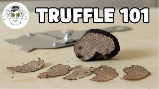 The Beginners Guide to Truffles [upl. by Kcirderf]