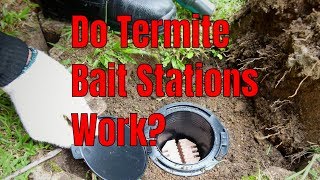 Do Subterranean Termite Bait Stations Work 🤨 [upl. by Narak822]