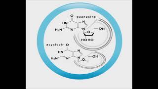 Antiviral animation Acyclovir [upl. by Cornell]