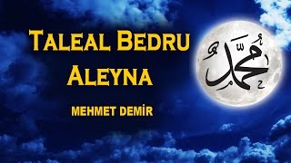 Taleal Bedru Aleyna 2017 Ay Doğdu Üzerimize Veda Tepelerinden Mehmet Demir [upl. by Maximilian909]