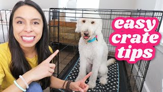 FIRST NIGHT Crate Training 5 Easy Steps 🐶 [upl. by Elohc]