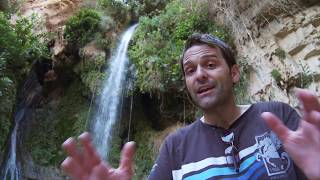 Why is Ein Gedi so historically significant [upl. by Olfe576]