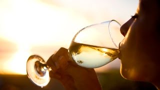 A winelovers guide to Pinot Grigio  The World of Wine [upl. by Arvind793]