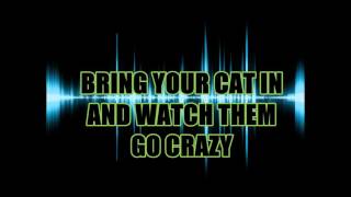 Only Cats can Hear This Pitch [upl. by Nrubloc]