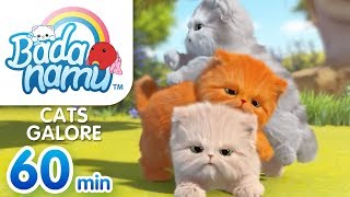 Cats Galore  Badanamu Compilation l Nursery Rhymes amp Kids Songs [upl. by Park]