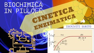 Cinetica enzimatica di Micaelis e Menten [upl. by Fabi41]