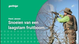 Laagstam fruitbomen snoeien appelboom [upl. by Ed]