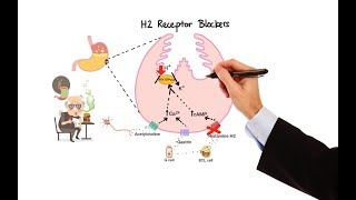 Pharmacology  ANTIHISTAMINES MADE EASY [upl. by Popelka]