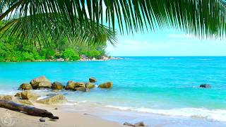 🌴 Tropical Beach Ambience on a Island in Thailand with Ocean Sounds For Relaxation amp Holiday Feeling [upl. by Ettenna259]