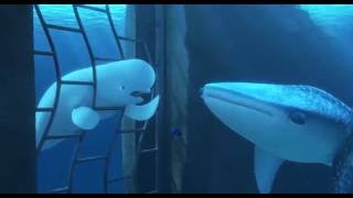 Finding Dory  Meet Bailey Clip [upl. by Rourke355]