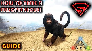 ARK HOW TO TAME A MESOPITHECUS  EVERYTHING YOU NEED TO KNOW ABOUT TAMING A MESOPITHECUS [upl. by Charles]