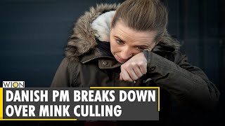 Danish Prime Minister Mette Frederiksen breaks down over mink culling  COVID19 WION News [upl. by Oiramd757]