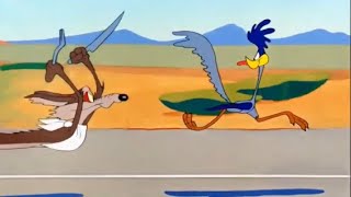 Looney Toons 1952 Road Runner [upl. by Hurty]