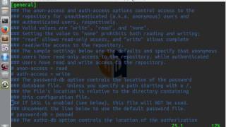 SVN Command Line Tutorial 1 [upl. by Isteb294]