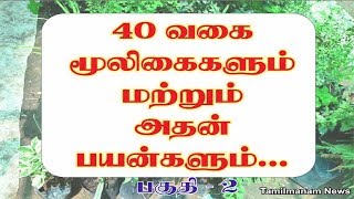 Herbs and their uses in tamil  40 herbal plants and their uses Part 2 [upl. by Ssenav]