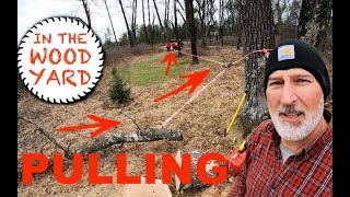 305  How to Pull Trees with a Rope and Pulley [upl. by Zusman27]