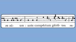 Viderunt Omnes Christmas Gradual [upl. by Yenots905]