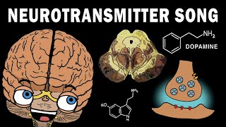 THE NEUROTRANSMITTER SONG [upl. by Gottlieb]