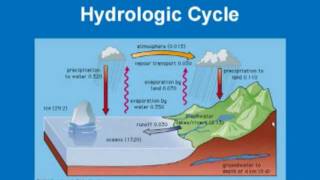 Limnology  Hydrologic Cycle [upl. by Hurst842]