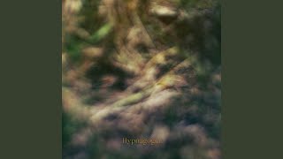 Hypnagogia [upl. by Olegnaid]