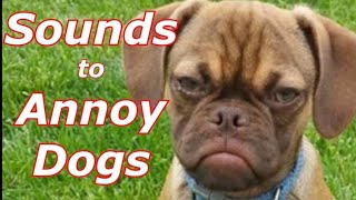 Sounds To Annoy Dogs [upl. by Gerson]