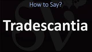 How to Pronounce Tradescantia CORRECTLY [upl. by Nimar427]