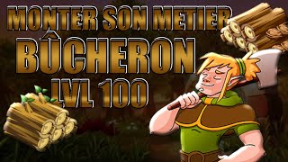 DOFUS 129 Monter son MÉTIER BÛCHERON LVL 100 rapidement [upl. by Killigrew]