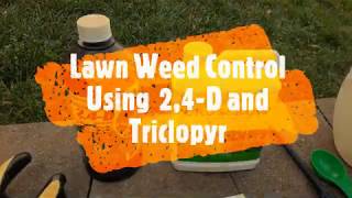 Lawn Weed Killer 24D  Triclopyr [upl. by Olegnalehcim523]