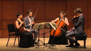 Beethoven String Quartet Op 132 in A Minor  Ariel Quartet full [upl. by Amsirac]