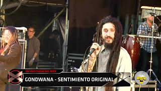 Gondwana Sentimiento Original En Vivo CDDDLRCK HD [upl. by Neural2]