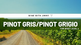 Key Grape Varieties  Pinot GrisPinot Grigio Beginners Version for WSET Level 1 and WSET Level 2 [upl. by Nirrad422]