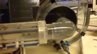 Cavitation inside a centrifugal pump [upl. by Annerahs]