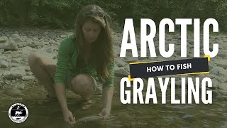 How to Fish for Arctic Grayling [upl. by Georas426]