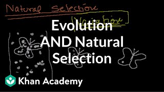 Introduction to Evolution and Natural Selection [upl. by Zarla958]