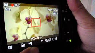 Nikon D7000 Movie Mode Settings Explained [upl. by Nirrol512]