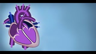 Fetal Circulation by L McCabe  OPENPediatrics [upl. by Keenan]