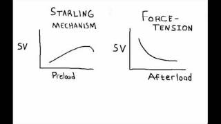 Frank Starling Mechanism [upl. by Georgeanne615]