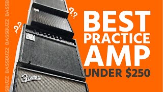 Best Beginner Bass Amp Group Review [upl. by Rese492]