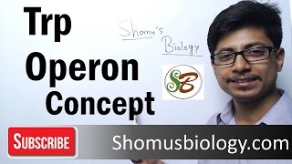 Trp Operon  Tryptophan operon regulation and attenuation [upl. by Cocks]