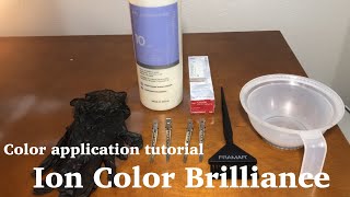 Color Application tutorial  Ion Color Brilliance for beginners [upl. by Asilram]