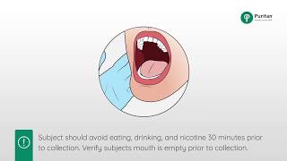 How to Collect a Buccal Swab Sample [upl. by Braunstein]