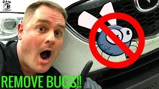 HOW TO REMOVE BUGS FROM A CAR SUPER EASY [upl. by Sicnarf]