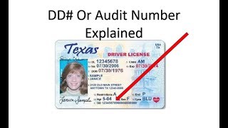 What Is The DD or Audit Number On Your Drivers License Explained [upl. by Frechette]