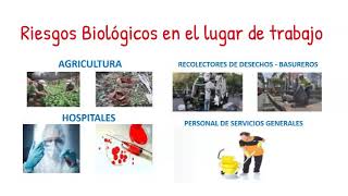 RIESGOS BIOLOGICOS [upl. by Yslek]