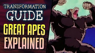 Great Ape Transformation Explained [upl. by Llehcear]